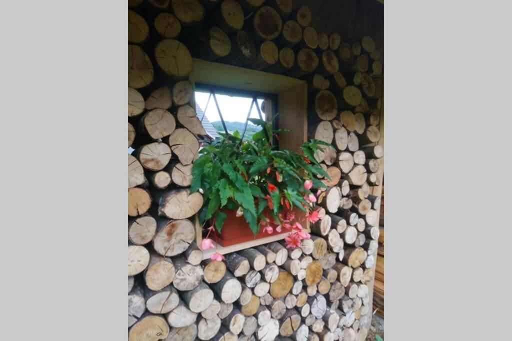 Hut At The Forest Male Brusnice Exterior photo